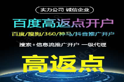 网络营销实战：案例分享竞价推广的秘诀